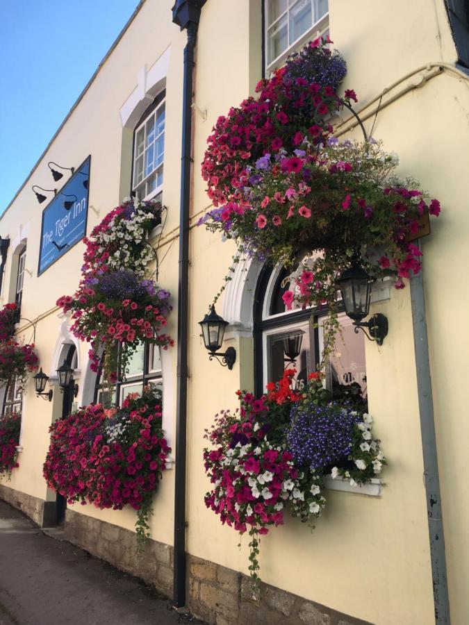 Tiger Inn Bridport Bagian luar foto